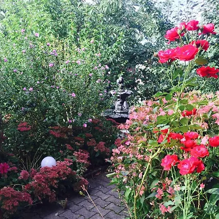 Privatunterkunft Entspannen,geniessen, Einfach Mal Zuruecklehnen Schotten